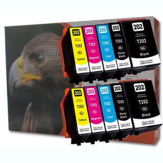 D&C 10 komp. Druckerpatrone komp. f&uuml;r Epson 202XL f&uuml;r Epson Expression Premium XP 6000 6005 6100 6105